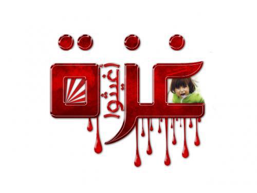حملة 