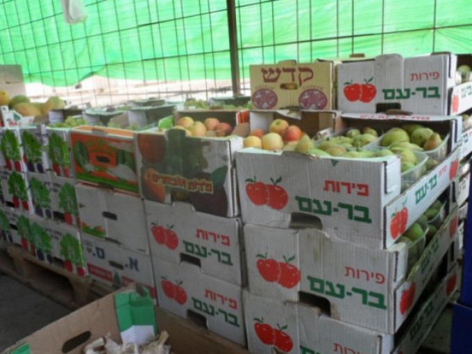الاقتصاد بغزة تُعلًق على قرار وقف دخول بضائع إسرائيلية للأراضي الفلسطينية