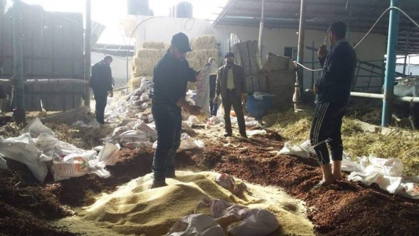 ​ضبط وإتلاف كمية من الأرز والزيت النباتي في غزة