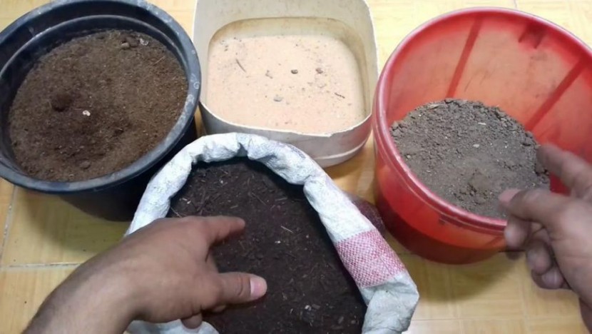 طريقة جديدة للزراعة بغزة باستخدام كسر الفخار
