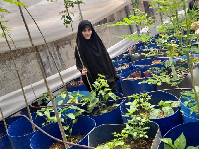فلورا.. مشروع لإنتاج النباتات العلاجية والمنتجات الطبيعية ومصدر رزق لفتاة غزية