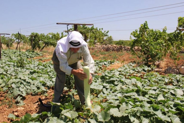 اتحاد المزارعين بالضفة يتهم المالية بجباية ضرائب غير مُبرّرة