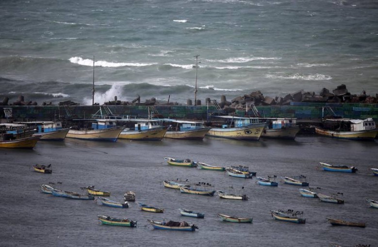 الزراعة بغزة تشكل لجنة لحصر أضرار المنخفض