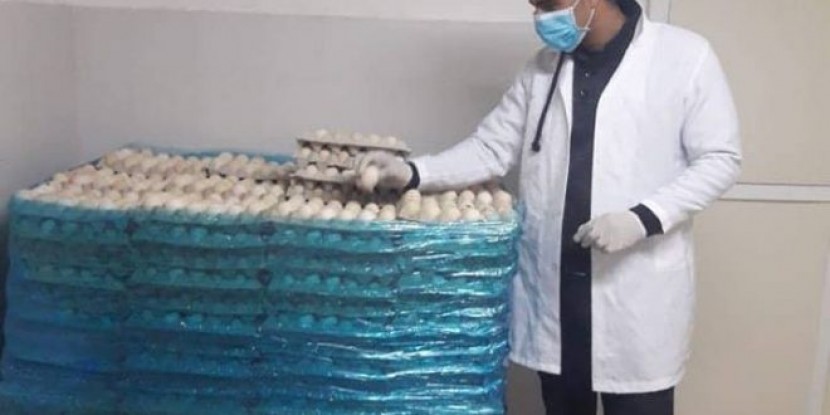 الضابطة الجمركية ببيت لحم تضبط شاحنة محملة بـ 72 الف بيضة للتفقيص قادمة من اسرائيل