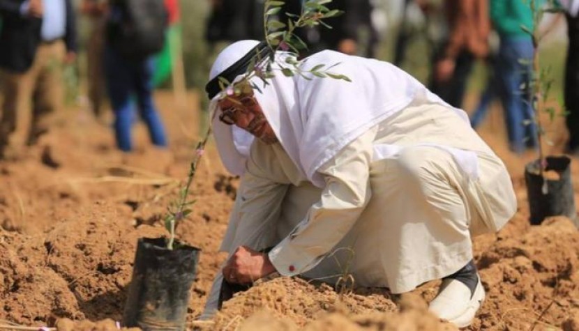 تخضير فلسطين.. خطة لزيادة صادرات غزة الزراعية