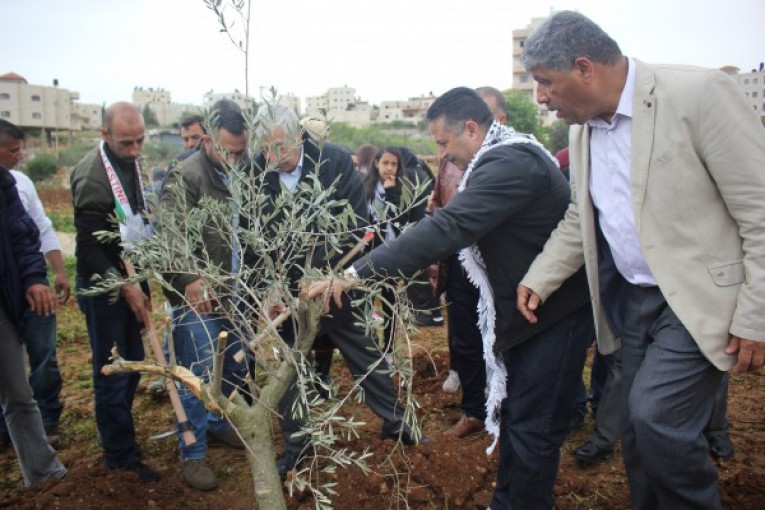 دولـة يدعو الى تسليط الضوء على معاناة المزارعين بفعل الاحتلال خلال موسم الزيتون