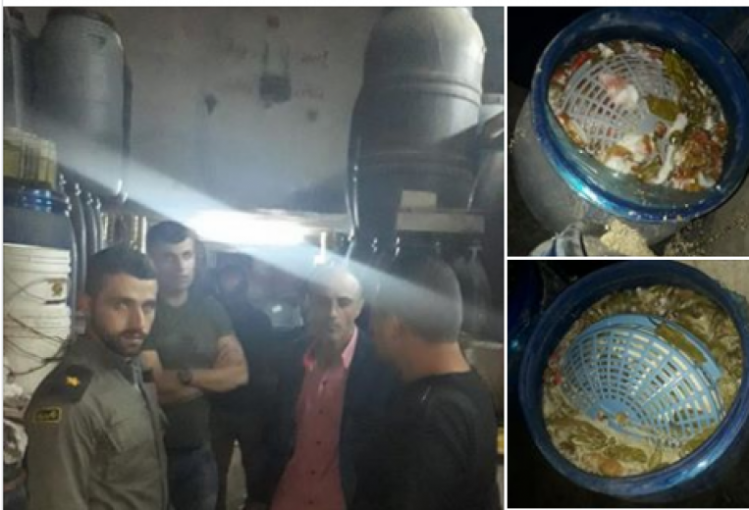 الجمارك تضبط 51 طن مواد غذائية فاسدة بالخليل