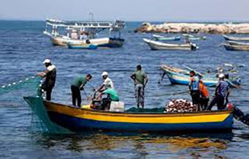 صيادو غزة يطالبون بالعدالة والشفافية في برامج الدعم