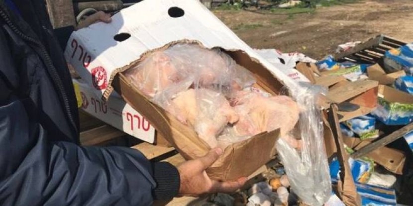 بالتعاون بين وزارة الزراعة و الاقتصاد الوطني اتلاف كميات من الحوم المجمدة بمعبر كرم أبو سالم
