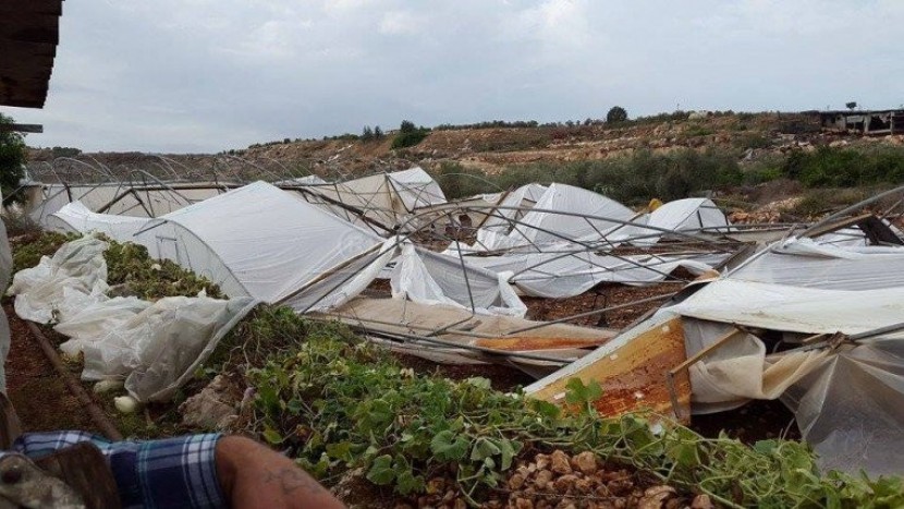 الزراعة بغزة تصدر إرشادات للمواطنين بشأن المنخفض الجوي