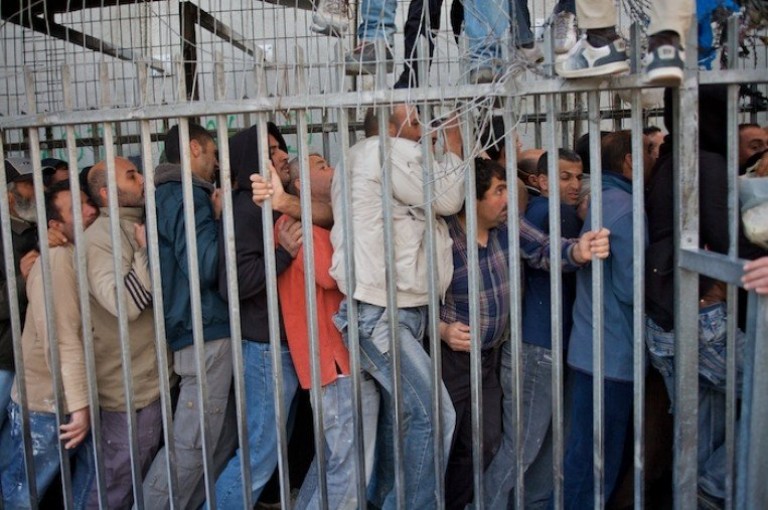 ماذا تعرف عن تقسيمات القوى العاملة في فلسطين؟