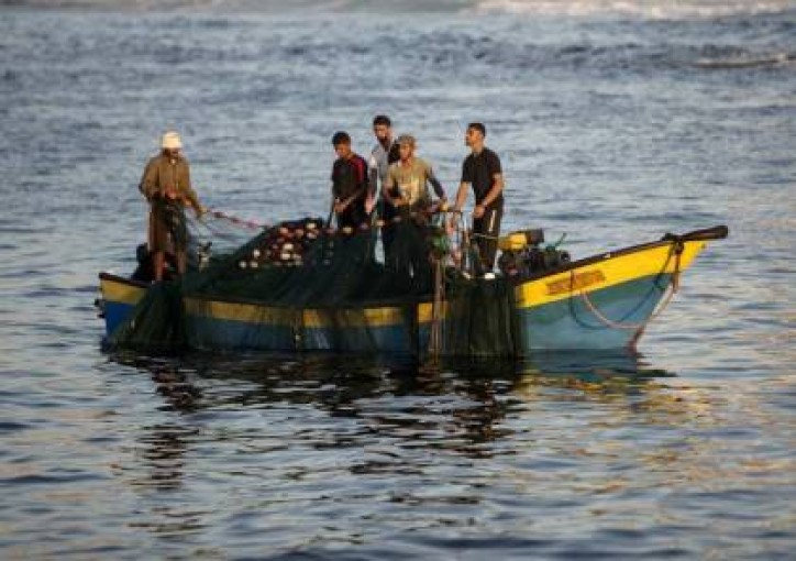 بعد اتفاق التهدئة.. صيادو غزة يشتكون قلة الأسماك.. والمستهلك يرفض أسعارها