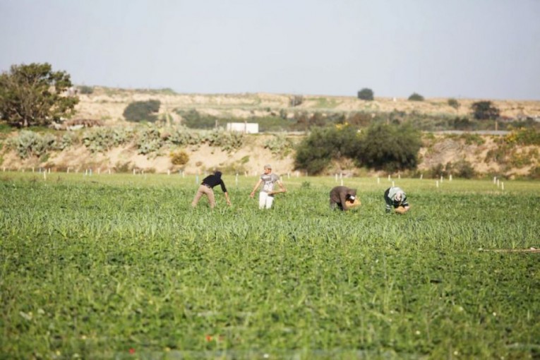 استنزاف الموارد الطبيعية.. نهج إسرائيلي متجدد لتقويض بنية الاقتصاد الفلسطيني