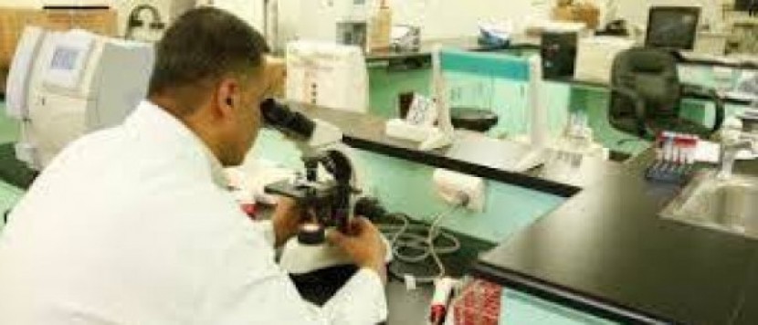 الصحة بغزة: أكثر من 4 ملايين فحص بمختبرات مستشفياتنا خلال 2018