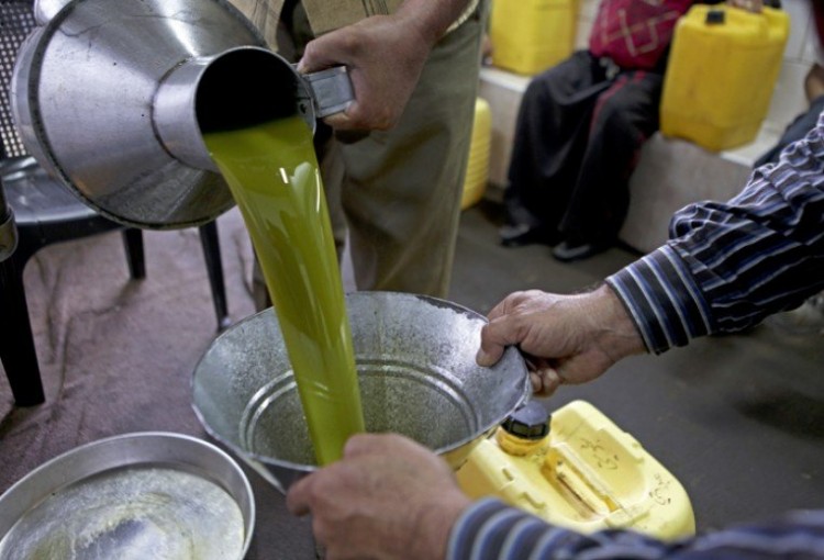وسط شح الإنتاج.. كيف ستكون أسعار زيت الزيتون في فلسطين؟