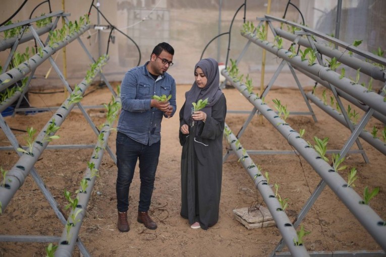 ​مزرعة مائية.. مشروع الأخوين أبو دقة للخروج من بوتقة البطالة