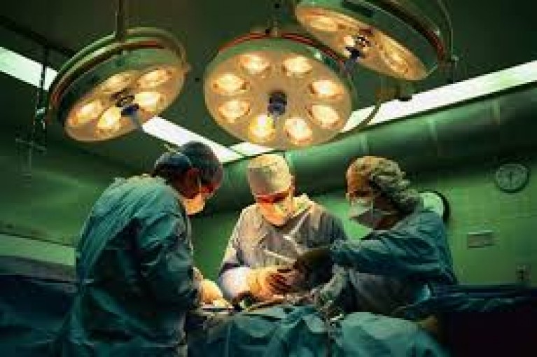 طبيبة مقدسية تحصل على جائزة ثاني أفضل بحث طبي في سويسرا في مجال زراعة الأعضاء