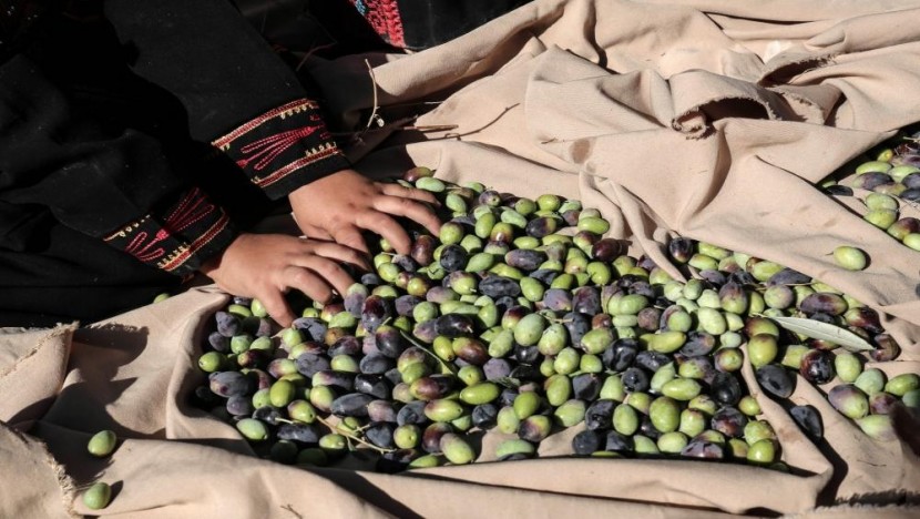 فلسطين في القائمة التفضيلية للتجارة التركية.. ماذا سيجلب القرار للأولى؟