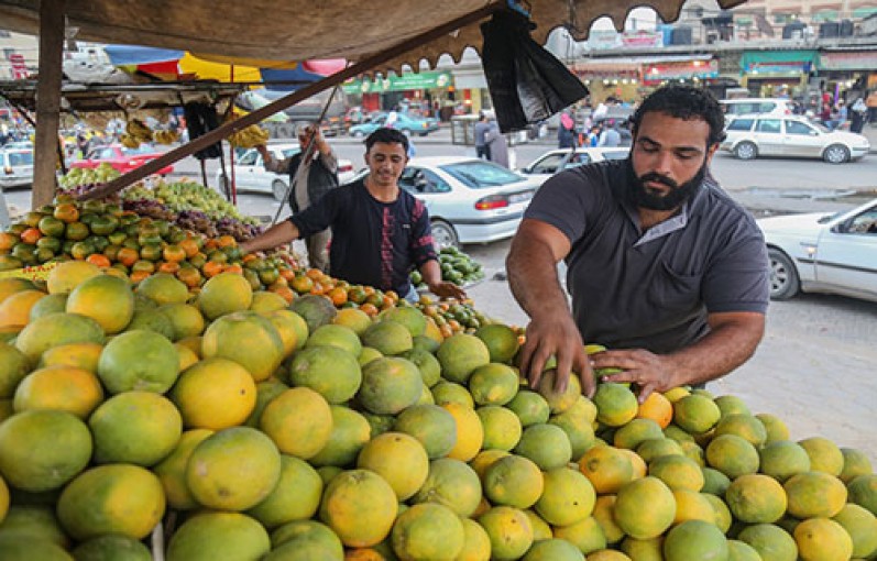 كورونا ينشط مبيعات الحمضيات في غزة