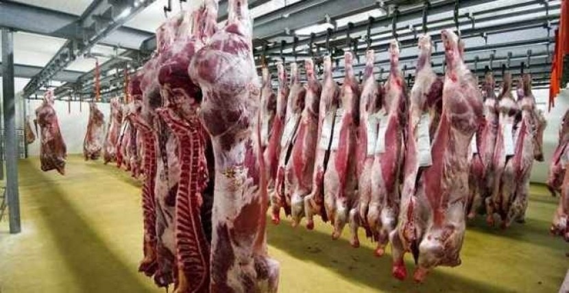 أسعار اللحوم الحمراء تنخفض بشكل فجائي في غزة