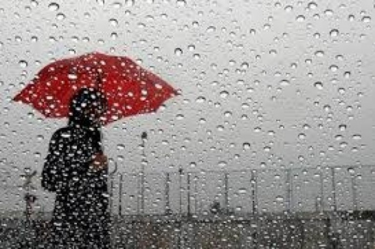 كمية الأمطار التي هطلت على مدينة غزة بلغت 25 ملم