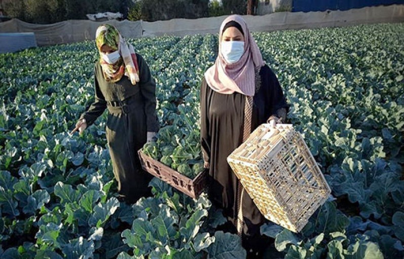 خريجتان بغزة تعوضان الوظيفة بمشروع زراعي