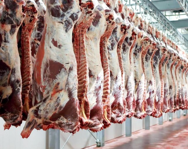 السعودية تخصص 25 ألف ذبيحة من لحوم الهدي والأضاحي لقطاع غزة