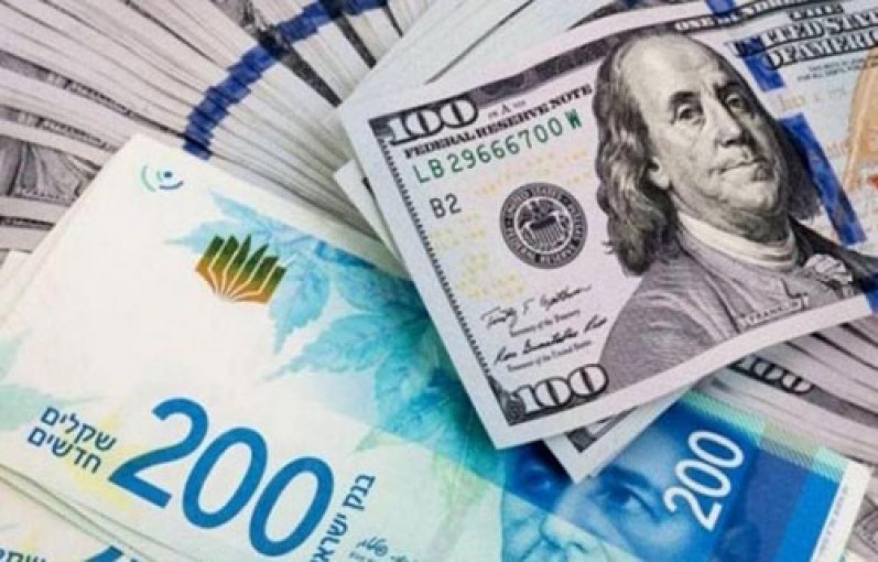 بأي العملات يفضل الغزيون الادّخار؟