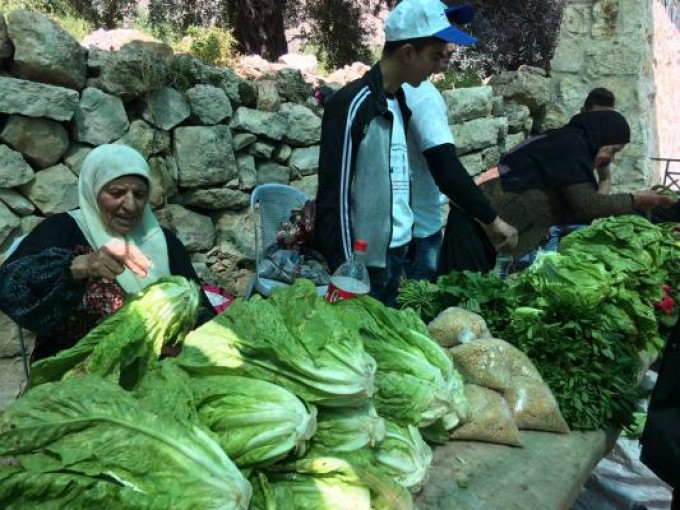 ارطاس تحتفل بمهرجان الخس السنوي
