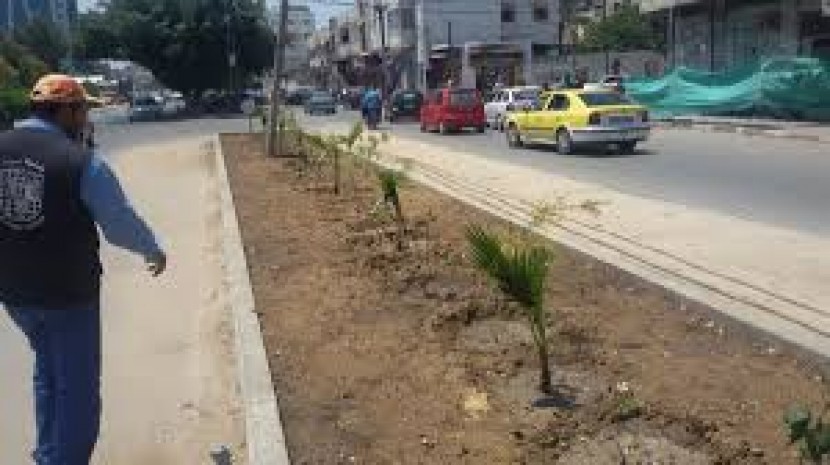 بلدية غزة تزرع 840 شتلة الشهر الماضي