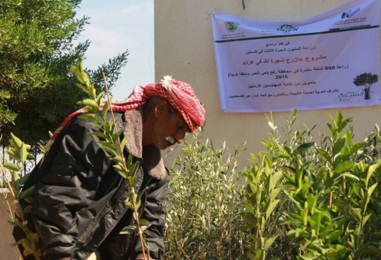 دعم كويتي لحملة المليون شجرة لدعم صمود مزارعي فلسطين