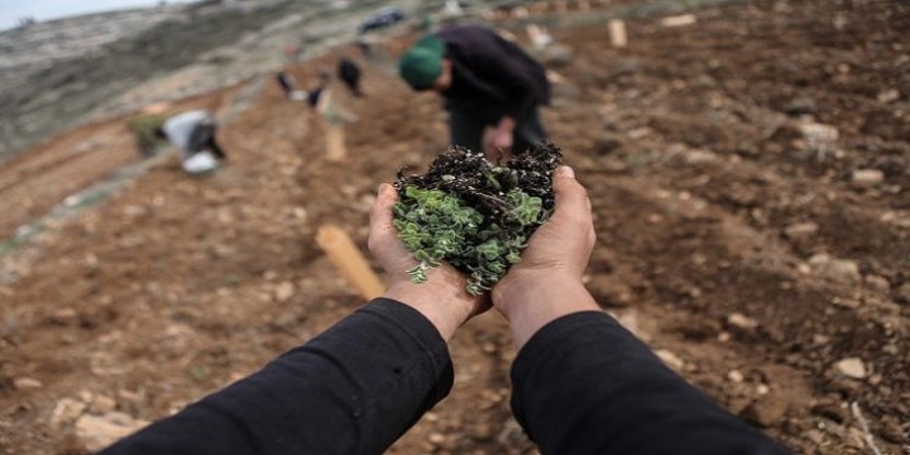 برنامج تعاون زراعي فلسطيني بنغالي في بنغلادش