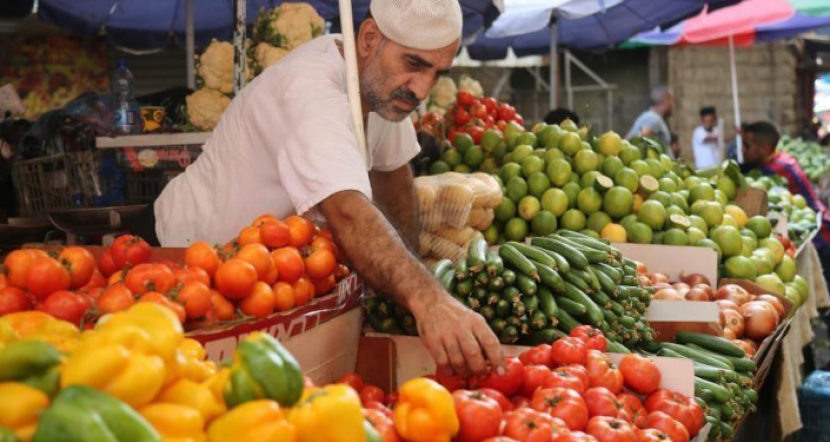 هبوط حاد في أسعار الخضراوات بغزة والمزارعون يشكون من خسائر فادحة