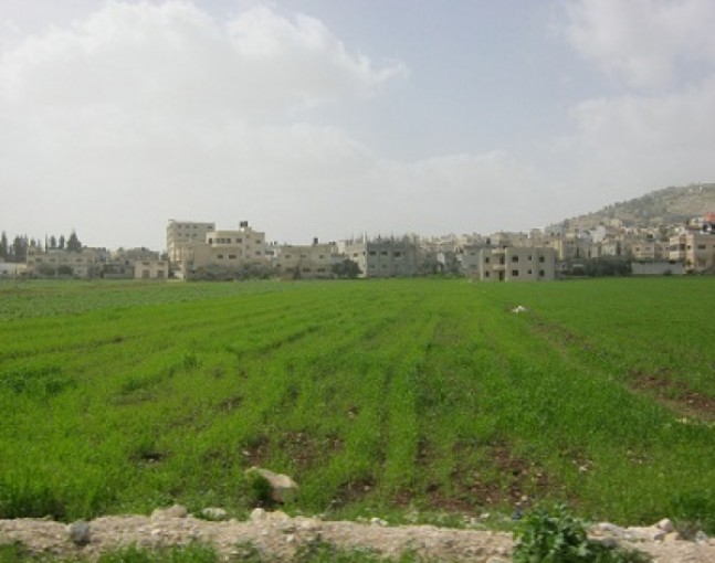 وزارة الزراعة تُقدم إرشادات حول المنخفض الجوي المقبل