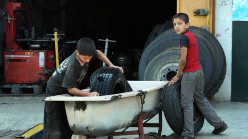 3% من اطفال فلسطين بسوق العمل