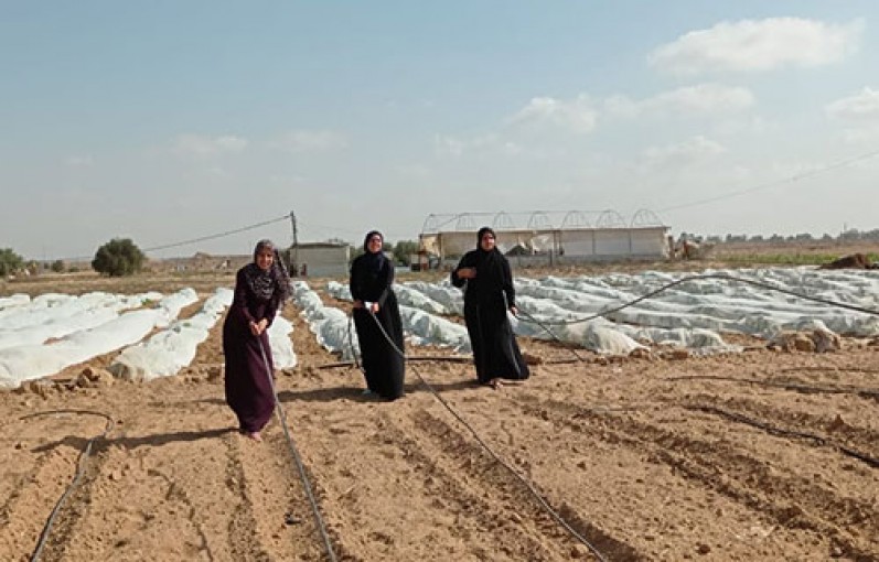ثلاث خريجات يقتحمن مجال الزراعة للتغلب على البطالة
