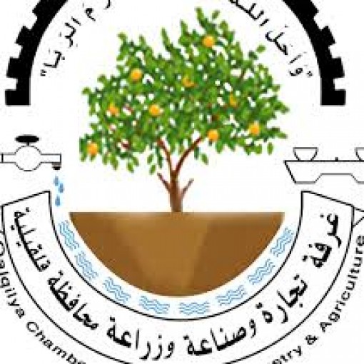 17مرشحا يتنافسون على عضوية مجلس إدارة غرفة تجارة وصناعة قلقيلية