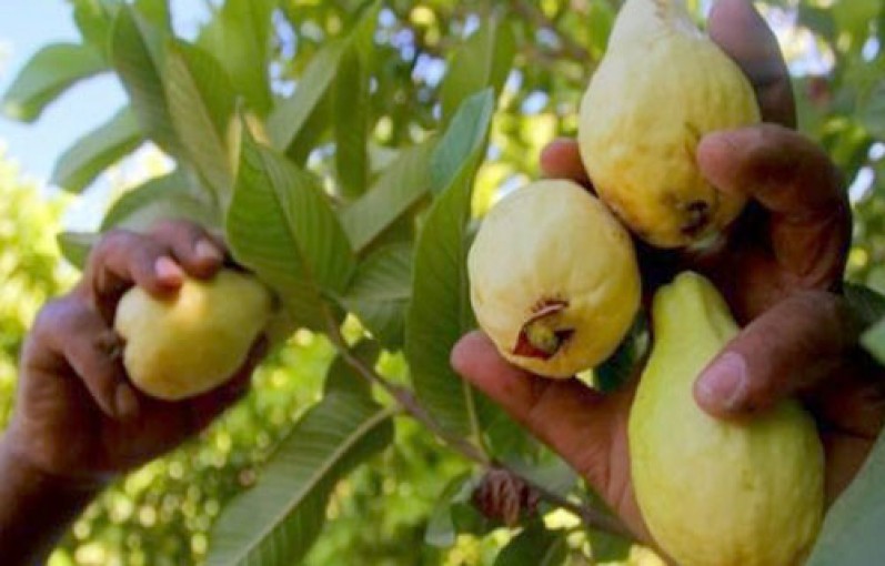 الاستعانة بتقنية 