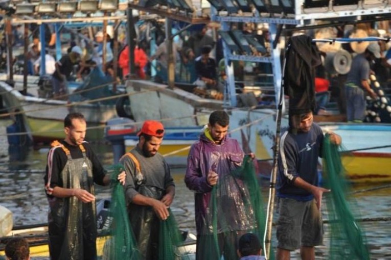 بيان هام من هيئة السياحة بشأن تصدير أسماك من غزة الى الضفة الغربية