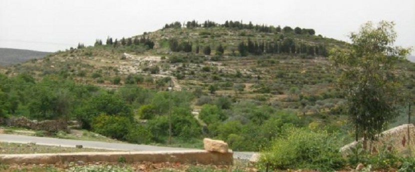 طوباس تحصل على سندات ترخيص منشآت زراعية في الأغوار الشمالية