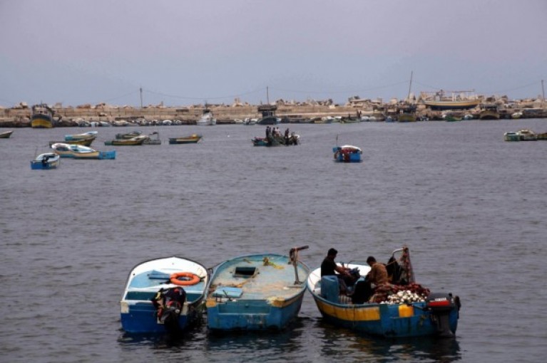 تعليق الصيد في بحر غزة تنديدًا باستشهاد صياد فلسطيني برصاص البحرية المصرية