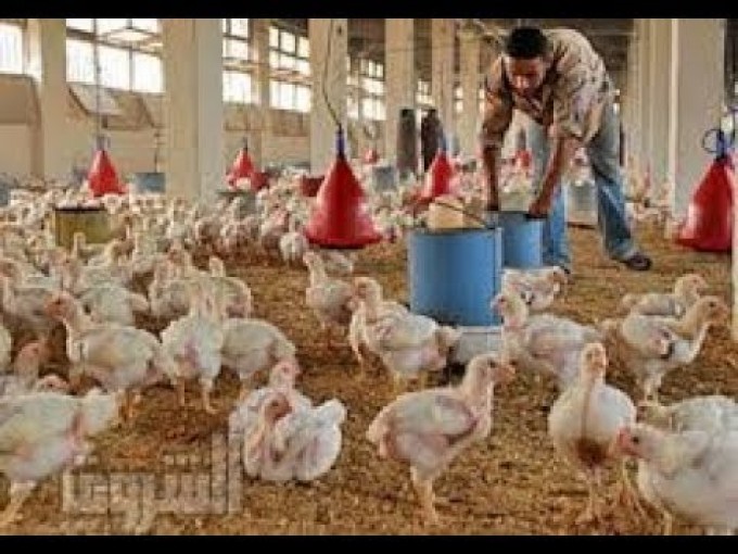 دعم ومؤازرة لعضو الجمعية / اياد غبون
