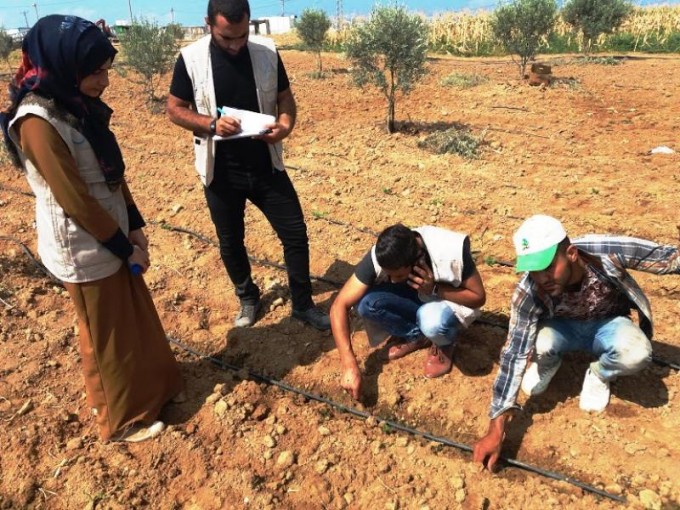 المنتجات الزراعية الآمنة قريباً في الأسواق ضمن مشاريع كلية الزراعة والبيئة بجامعة الأزهر
