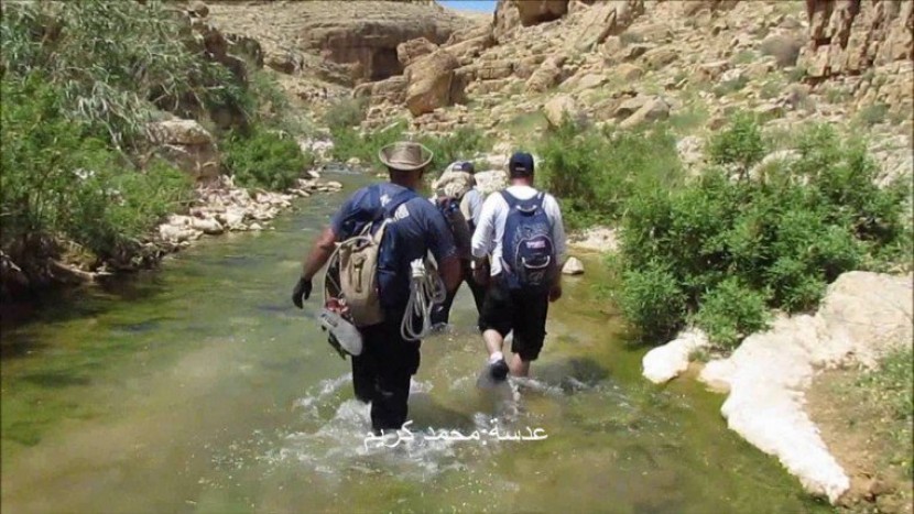 نصف السياحة الوافدة الى فلسطين من الداخل
