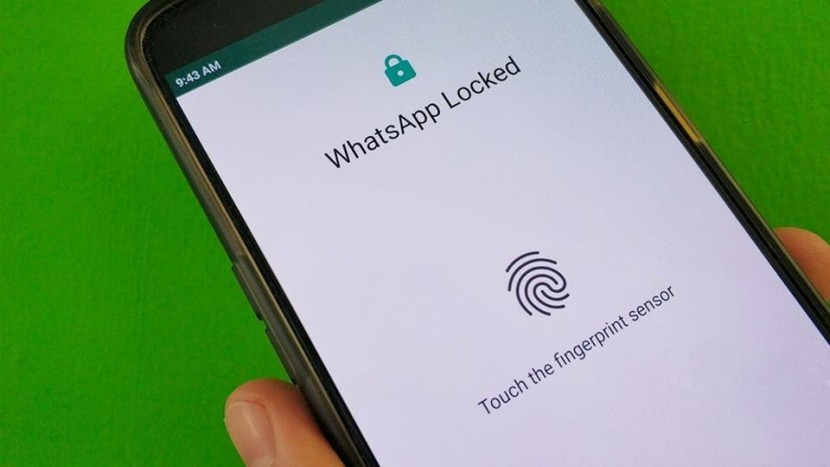 واتساب تضيف هواتف أندرويد لـ