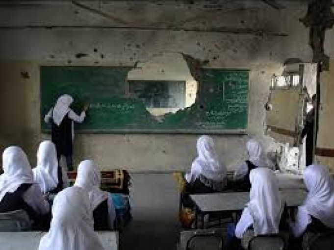 صيدم: غزة بحاجة إلى بناء 123 مدرسة