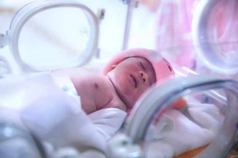 4495 مولود خلال شهر يناير بقطاع غزة
