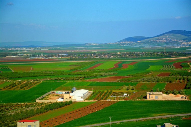 الجمعية العامة تصوت على حق فلسطين بالسيادة على مواردها الطبيعية
