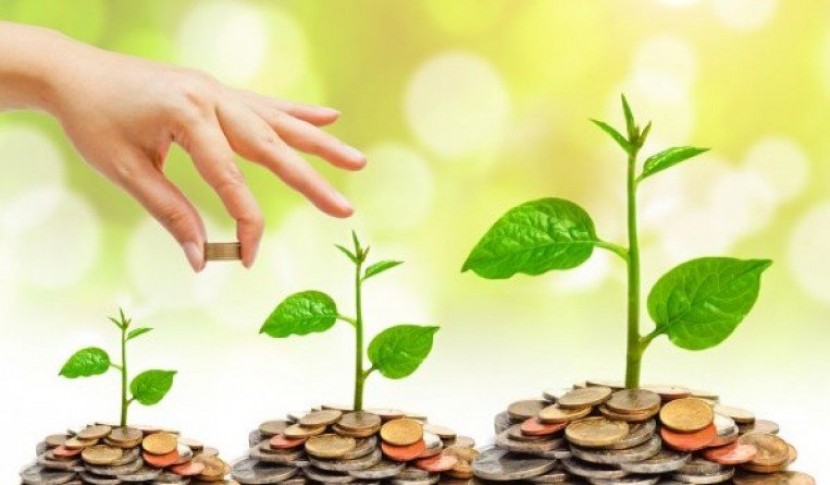تعرف على برامج التمويل المقدمة من البنك الإسلامي الفلسطيني