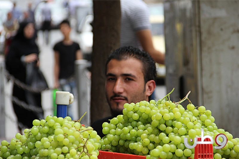 انخفاض طفيف لمؤشر غلاء المعيشة خلال شهر أكتوبر